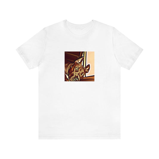 Giovanni D'Ambrosia, a male streetwear designer from Milan during the 1990s. He specialized in creating bright and bold pieces made from high-quality materials that were intended to stand out from the crowd. He was also-Tee