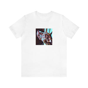 Angelo Del Porto, a male streetwear designer from Genova, Italy who gained fame in the late 1990s. He was known for his bold use of bright colors and attention-grabbing prints inspired by traditional Italian artwork. His designs-Tee