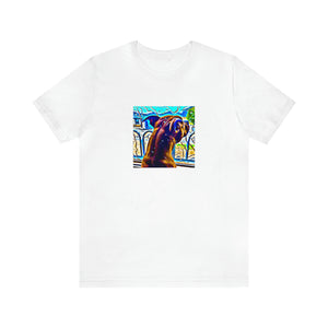 Vincenzo Moreno, a renowned male streetwear designer from Italy in the 1990s. He was known for his bold and daring designs that pushed the boundaries of fashion and subverted traditional ideas of style. He was an avid traveler,-Tee