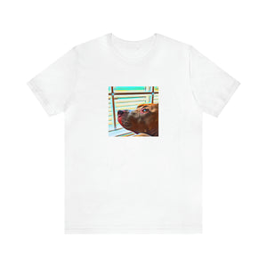 Marco Ferrari is an up-and-coming Italian streetwear designer from the 1990s. He is known for taking classic Italian style and revamping it with edgy, youthful designs. His innovative approach to dressing people in the hottest trends of-Tee