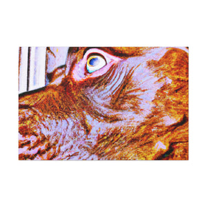 DaVinci D'Antonio-canvas
