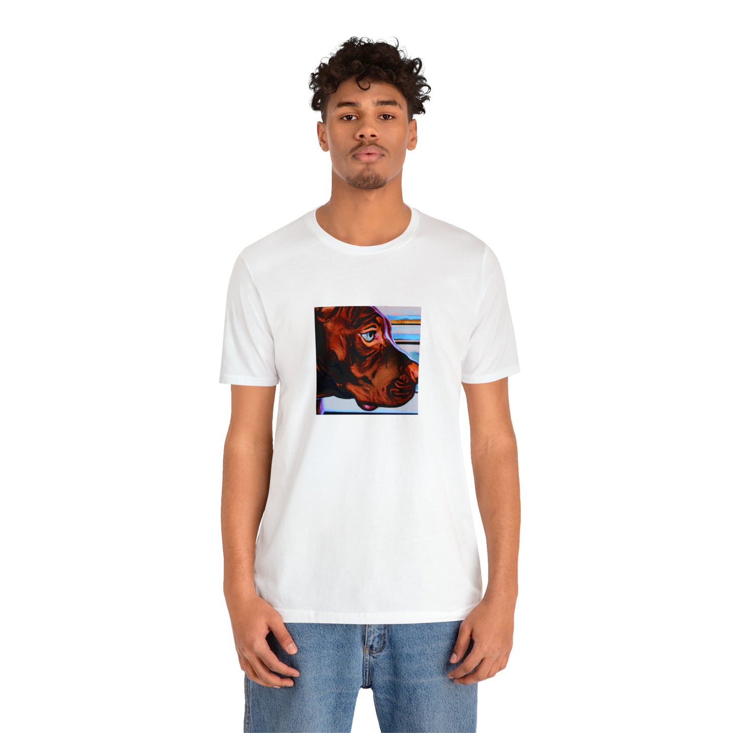 Lorenzo di Caprio, a male streetwear designer from the 1990s in Italy. He was known for creating bold and daring designs, often with intricate embroidery and creative use of fabrics. He was a pioneer in the Italian-Tee