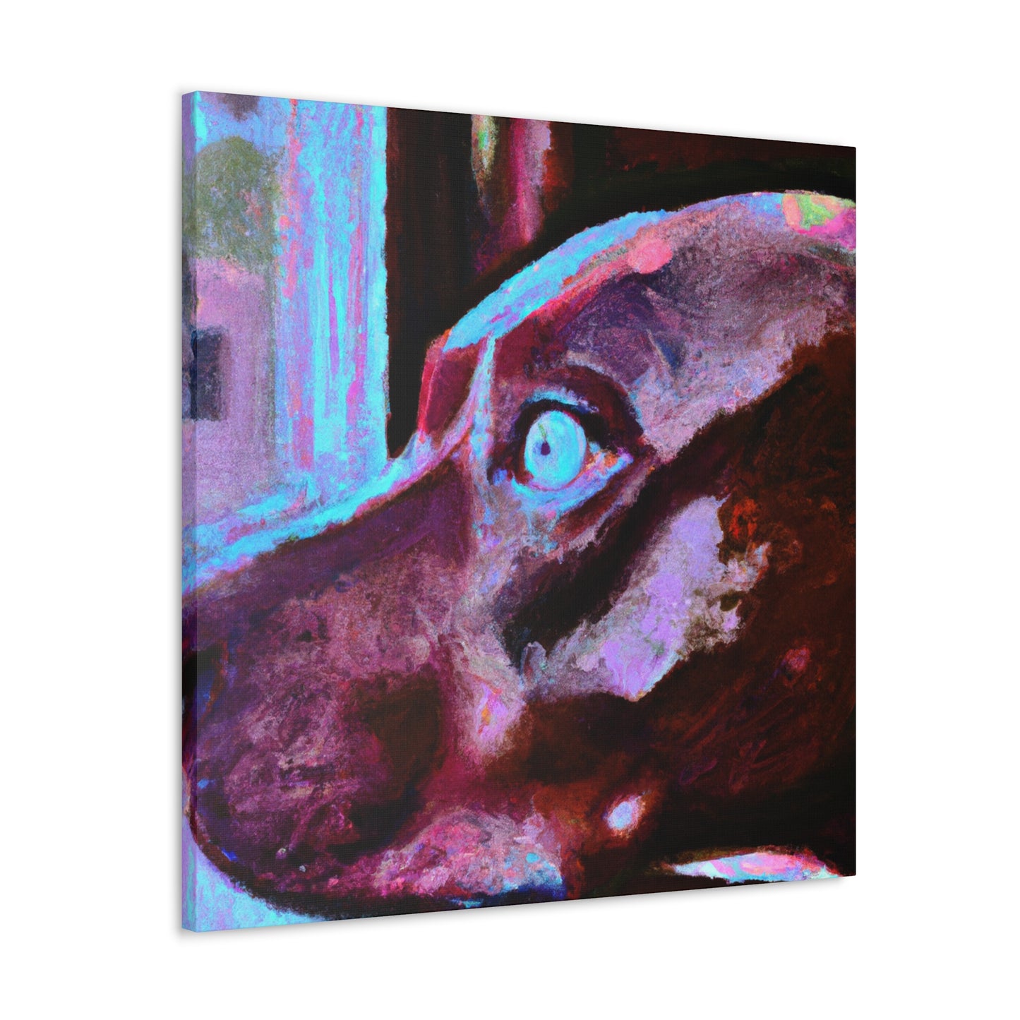 Rafaela Beltrani-canvas