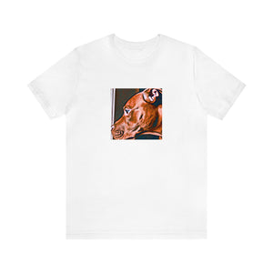 Pietro de Luca: An Italian streetwear designer from the 90's who dreamed of combining Italian traditional fashion with modern streetwear. He was renowned for his innovative use of traditional fabrics to create edgy streetwear silhouettes. He-Tee
