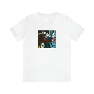 Fabiana Rossi, an iconic streetwear designer from Italy in the 1990s. Fabiana created an entire collection of trendy, yet timeless streetwear pieces, often combining bright colors, loose silhouettes, and fun patterned fabrics. Her bold-Tee