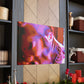Felixa Amorello-canvas