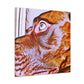 DaVinci D'Antonio-canvas