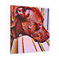 Laurentzo da Rovigo-canvas