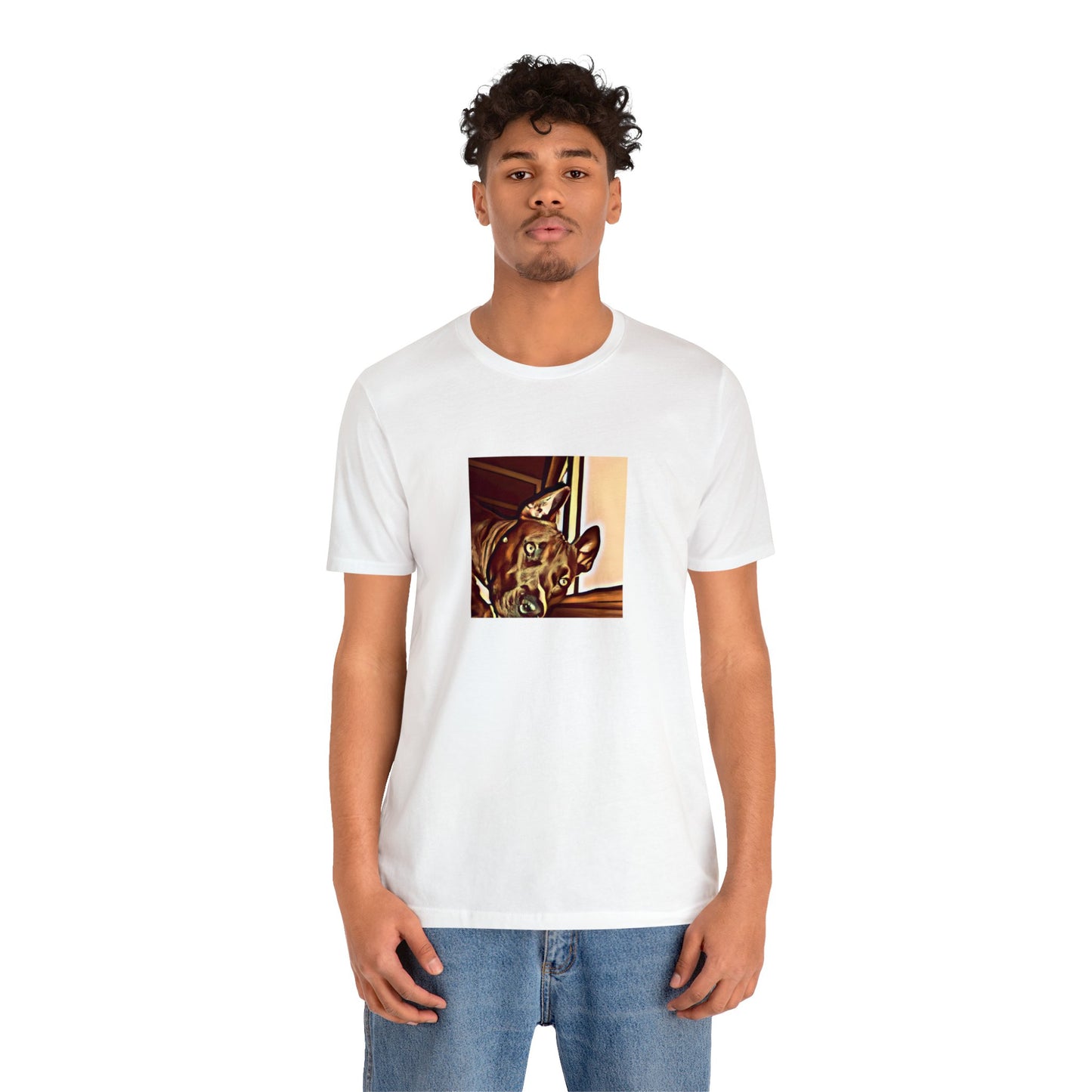 Giovanni D'Ambrosia, a male streetwear designer from Milan during the 1990s. He specialized in creating bright and bold pieces made from high-quality materials that were intended to stand out from the crowd. He was also-Tee